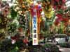 松江フォーゲルパーク　センターハウスの花々写真